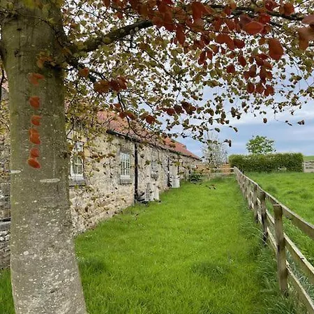 Vakantiehuis Beck House